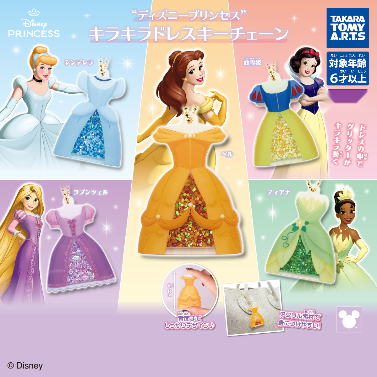 Disney Princess Dress Charm